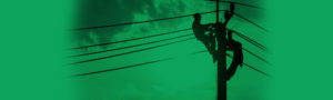Private Powerlines Solutions Hamilton